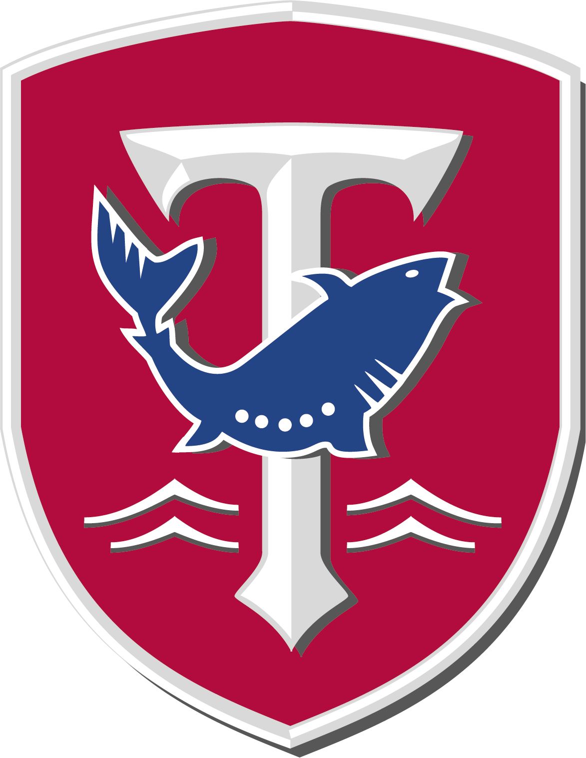 Teigenes Logo